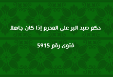 حكم صيد البر على المحرم إذا كان جاهلا