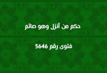 حكم من أنزل وهو صائم