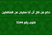 حكم من قال أن أبا سفيان من المنافقين