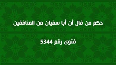 حكم من قال أن أبا سفيان من المنافقين