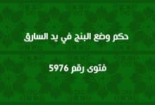 حكم وضع البنج في يد السارق