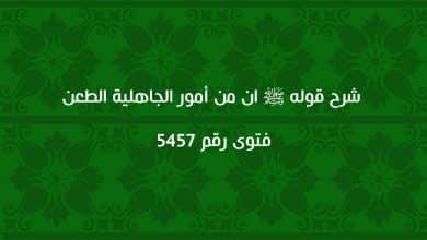 شرح قوله ﷺ ان من أمور الجاهلية الطعن