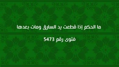 ما الحكم إذا قطعت يد السارق ومات بعدها