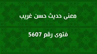 معنى حديث حسن غريب