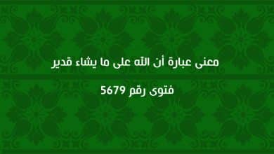 معنى عبارة أن الله على ما يشاء قدير