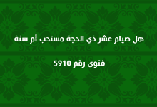 هل صيام عشر ذي الحجة مستحب أم سنة