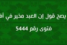 هل يصح قول إن العبد مخير في أفعاله