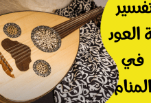 آلة العود في المنام