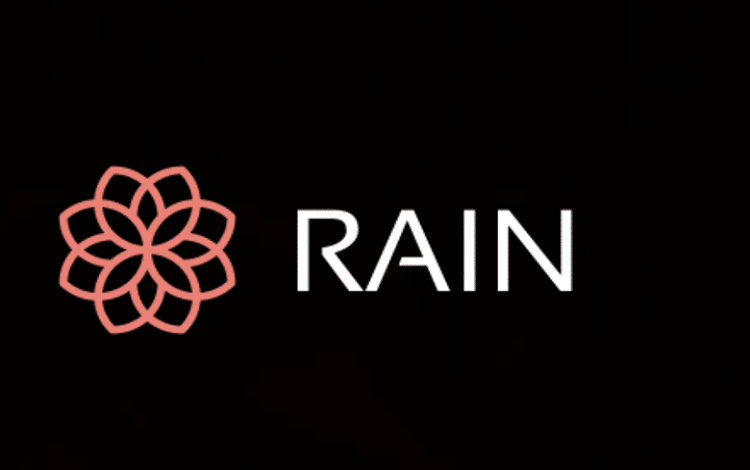 تعرف على مميزات وسلبيات منصة rain