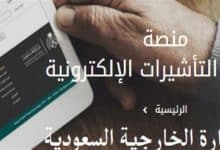 خدمات منصة التاشيرة