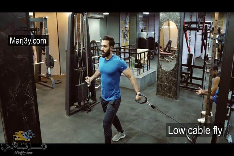 تمارين الصدر بالكابل سفلي Chest exercises - Low Cable Fly