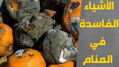 الفاسدة في المنام