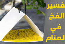 الفخ في المنام