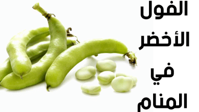 الفول الأخضر في المنام