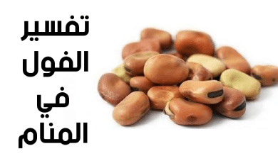 الفول في المنام