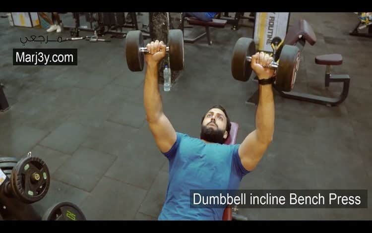 تمارين الصدر بالدامبل سفلي Chest Exercises Dumbbell Incline Bench Press مرجعي Marj3y 9435