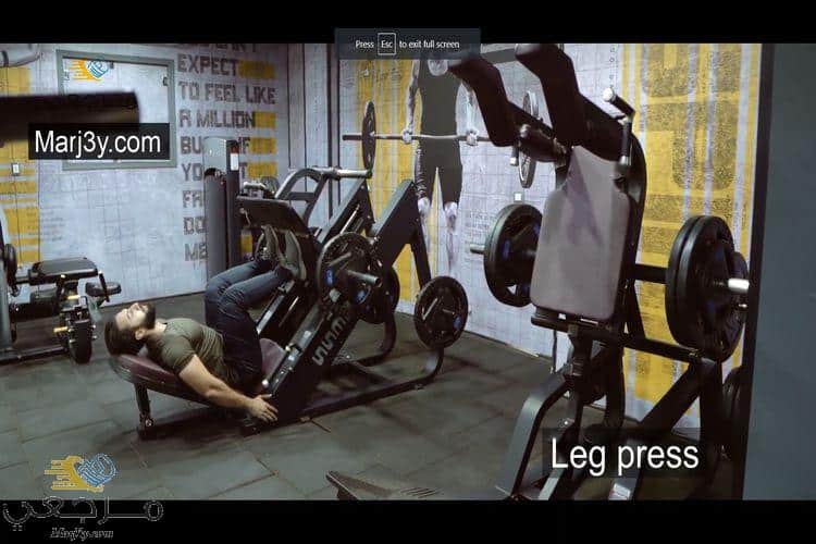 تمرين ضغط الرجلين Leg Press