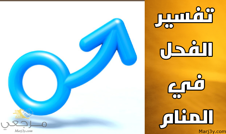 الفحل في المنام