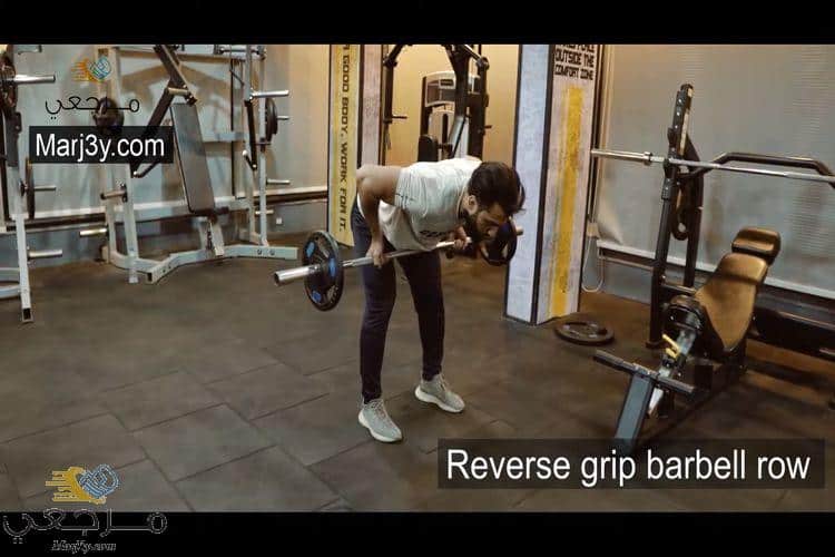 تمرين بار ظهر ماسكة مقلوبة Reverse Grip Barbell Row