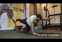 تمرين بيرد دوج Birddog exercise