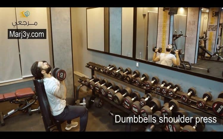 تمرين دفع الكتف بالدامبل Dumbbell shoulder press