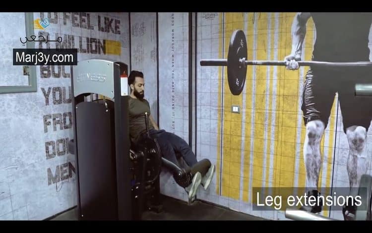 تمرين مرجحة رجل أمامي Leg Extensions