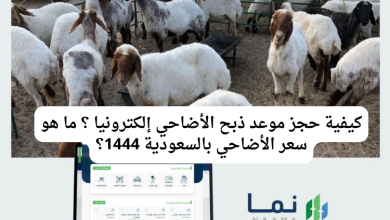 كيفية حجز موعد ذبح الأضاحي إلكترونيا ؟ ما هو سعر الأضاحي بالسعودية 1444؟