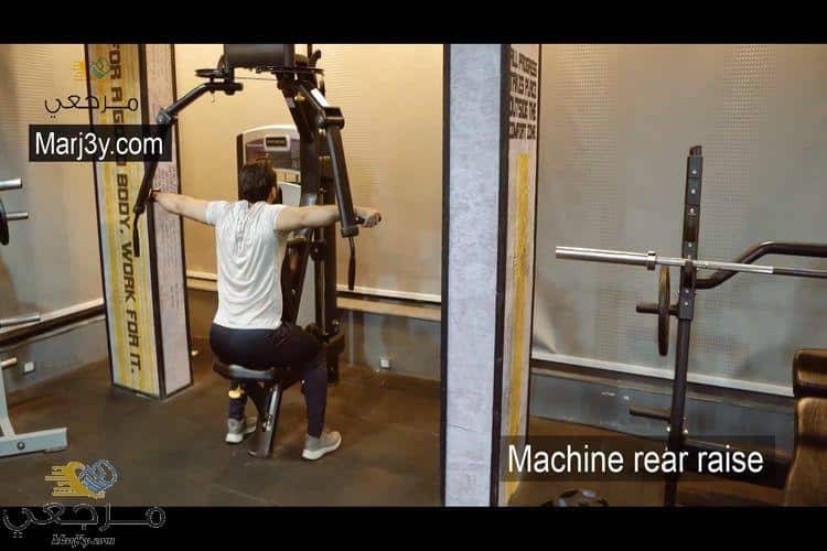 تمرين كتف خلفي بالآلة Machine rear raise