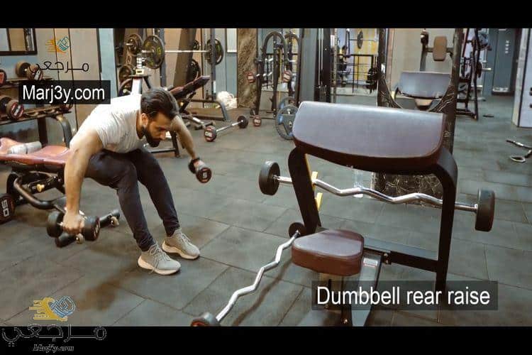 تمرين كتف خلفي جالس بالدامبل Dumbell rear raise