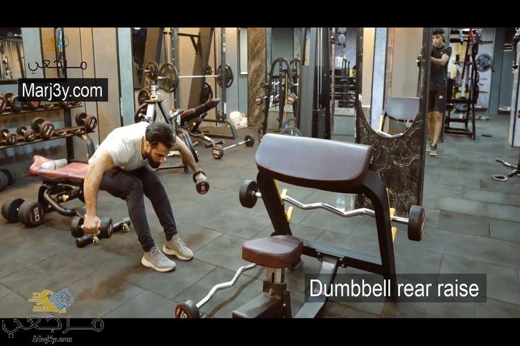 تمرين كتف خلفي جالس بالدامبل Dumbell rear raise