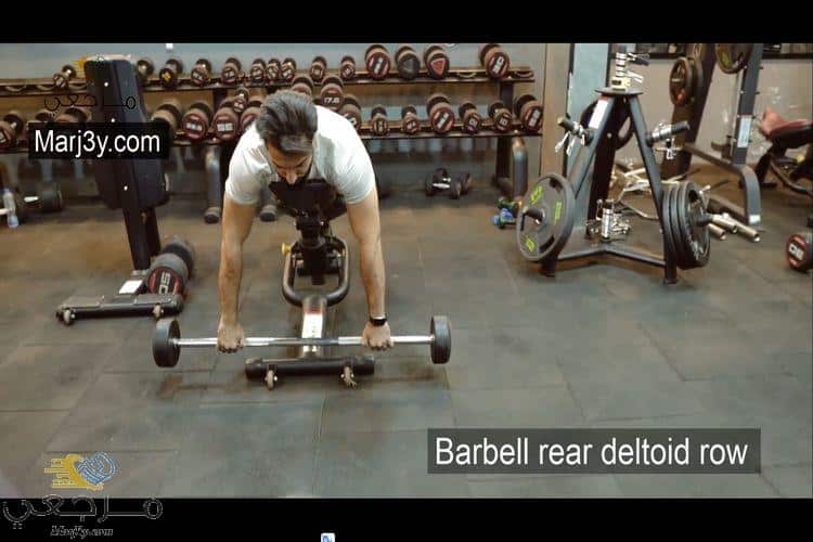 تجديف خلفي بالبار للكتف Barbell rear deltoid row