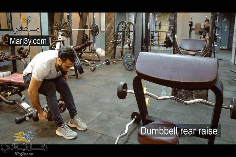 تمرين كتف خلفي جالس بالدامبل Dumbell rear raise