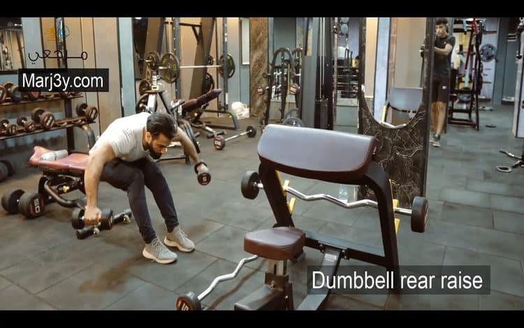 تمرين كتف خلفي جالس بالدامبل Dumbell rear raise