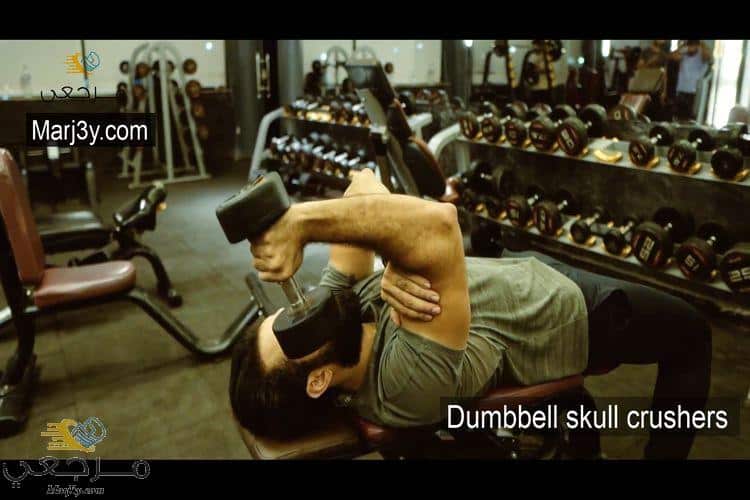 تراي في وضع النائم بالدامبل Dumbbell skull crushers