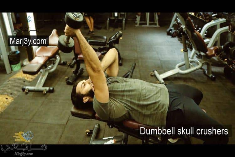 تراي في وضع النائم بالدامبل Dumbbell skull crushers