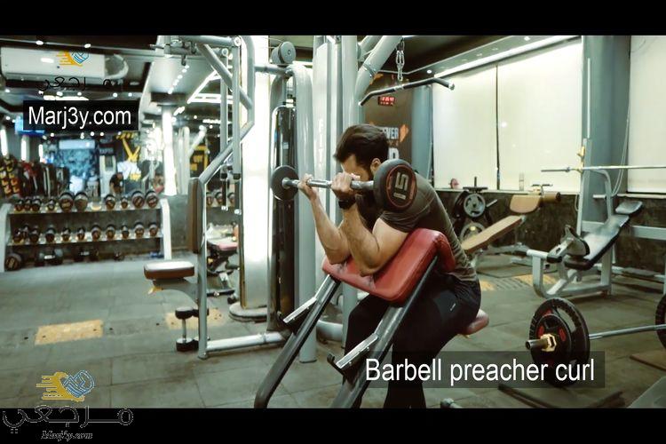 تمرين الحصان للبايسبس بالبار barbell preacher curl