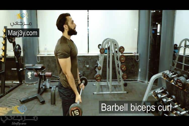 تمرين السحب بالبار للبايسبس Barbell biceps curl