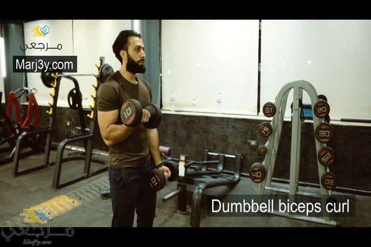 تمرين السحب بالدامبل للبايسبس Dumbbell biceps curl