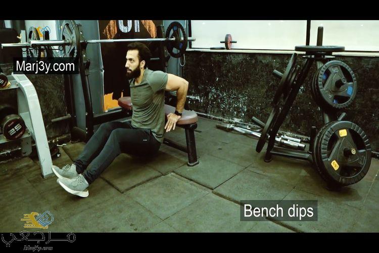 تمرين بنش دبس Bench Dips