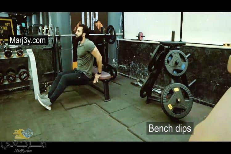 تمرين بنش دبس Bench Dips