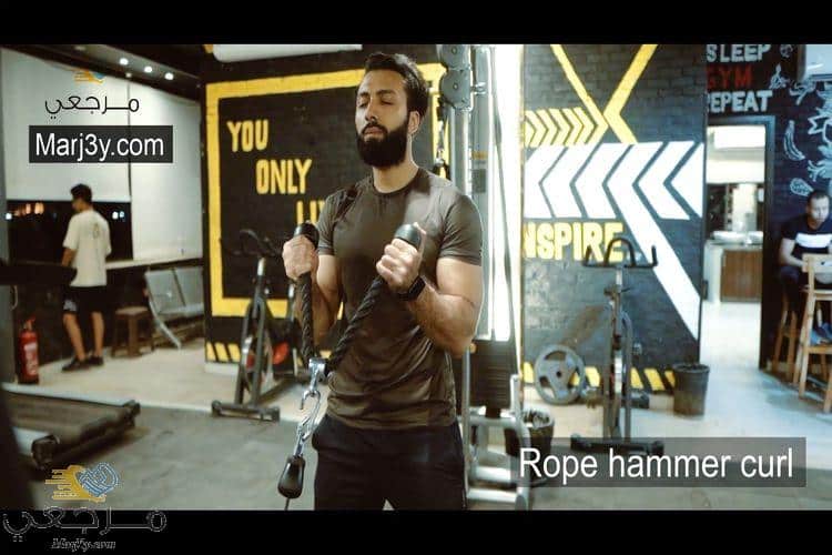 تمرين هامر كرل بالحبل Rope hammer curl