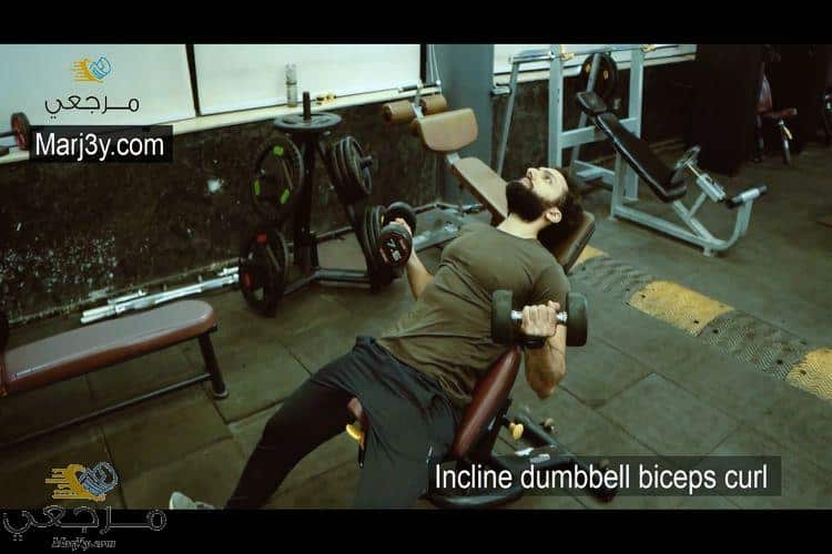 السحب مائل بالدامبل للباي Incline Dumbbell biceps curl