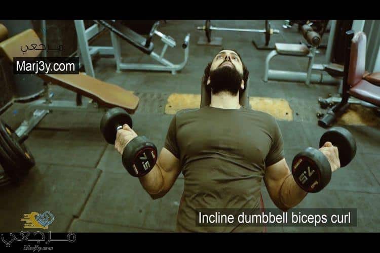 السحب مائل بالدامبل للباي Incline Dumbbell biceps curl