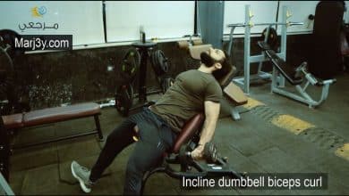 السحب مائل بالدامبل للباي Incline Dumbbell biceps curl