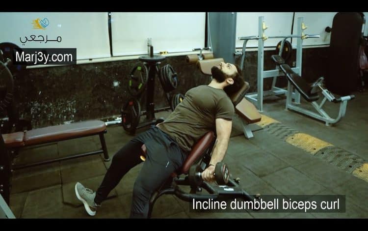 السحب مائل بالدامبل للباي Incline Dumbbell biceps curl