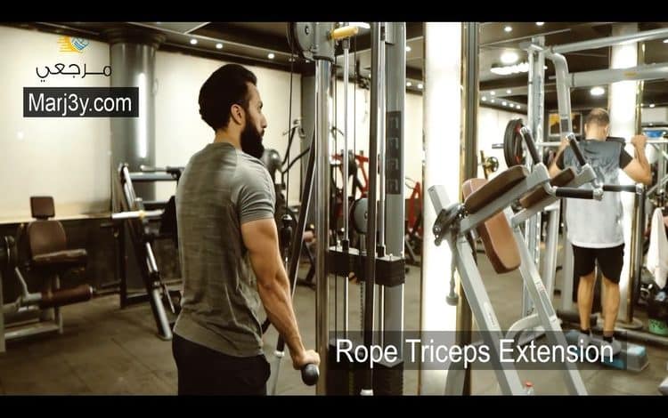 تراي باستخدام الحبل Rope triceps extension