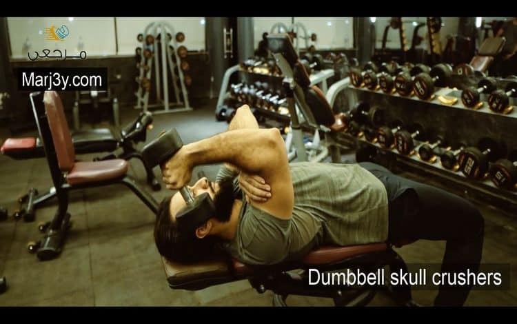 تراي في وضع النائم بالدامبل Dumbbell skull crushers