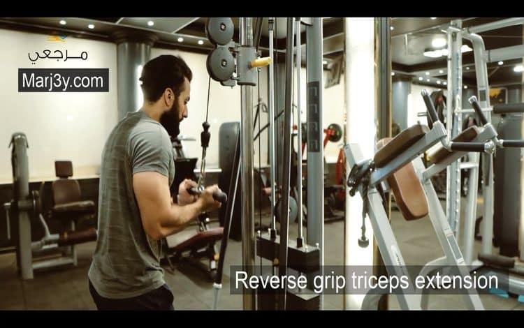 تراي قبضة معكوسة reverse grip overhead extension