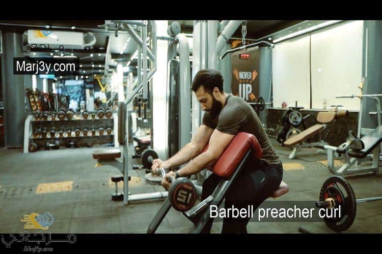 تمرين الحصان للبايسبس بالبار barbell preacher curl