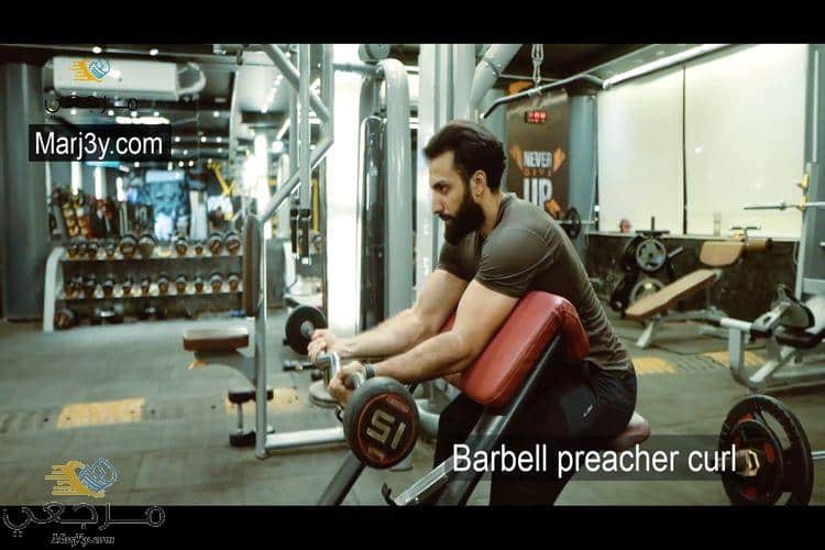 تمرين الحصان للبايسبس بالبار barbell preacher curl